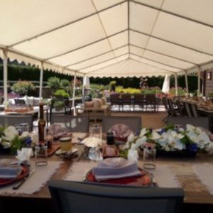 Tente Festival 10 x 12m ou 5x24m soit 120m2